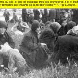 album_137