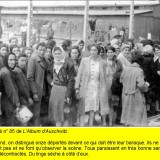 album_85