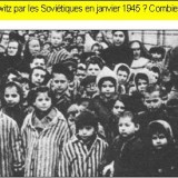 auschwitz_1945_bebes