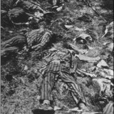 evacuations_cadavres